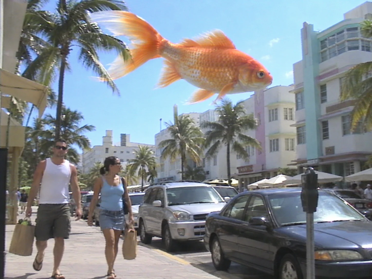 A giant goldfish over an ordinary Miami street, a storyboard concept